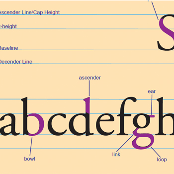 Typography 1 Project
